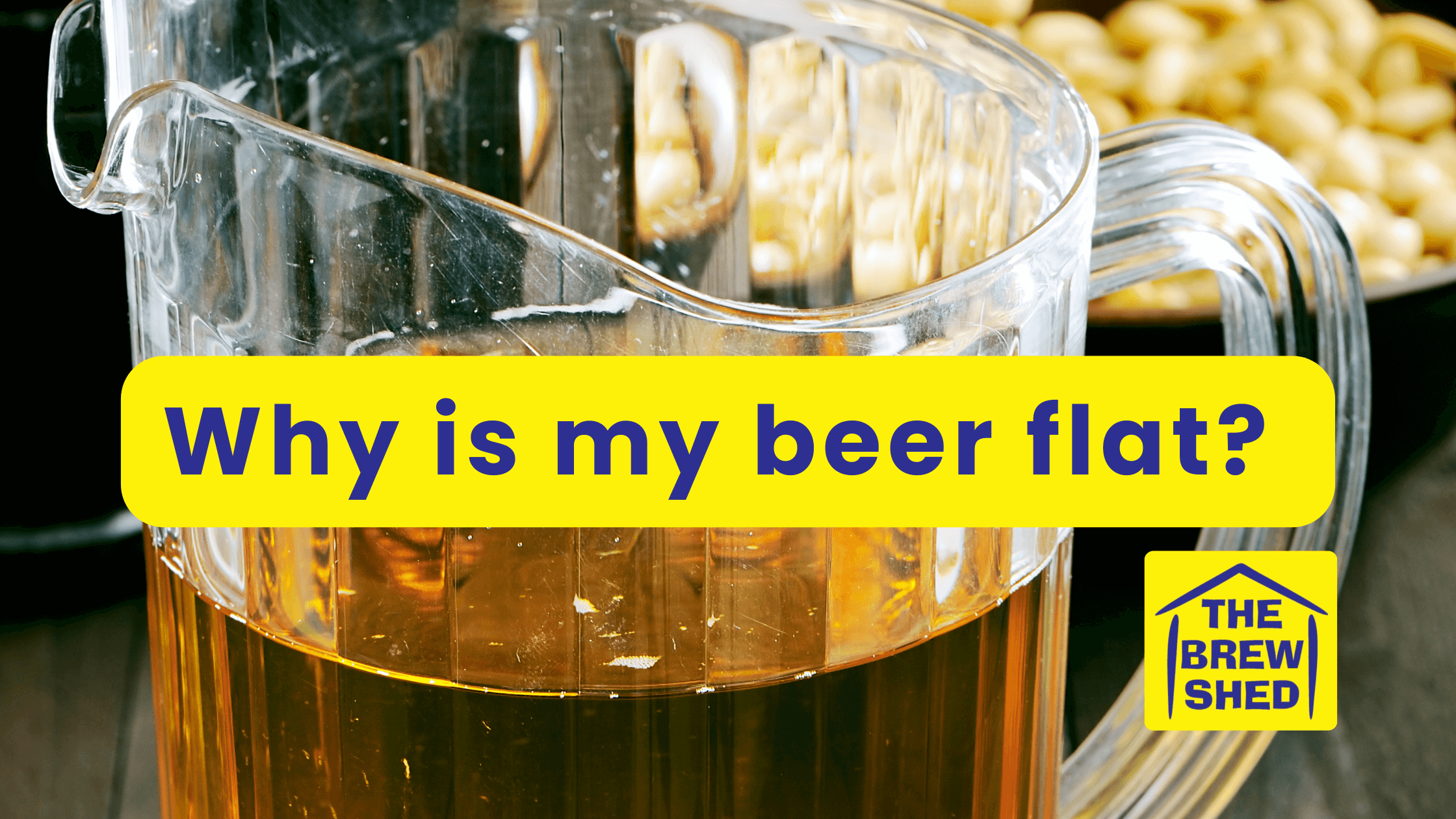 image with flat beer in jug, why is my beer flat? The Brew Shed logo