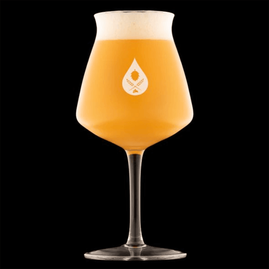 beautiful tulip shaped home brew craft beer glass with stem
