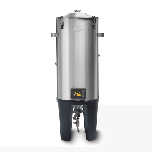 temperature controlled fermenter for making craft beer