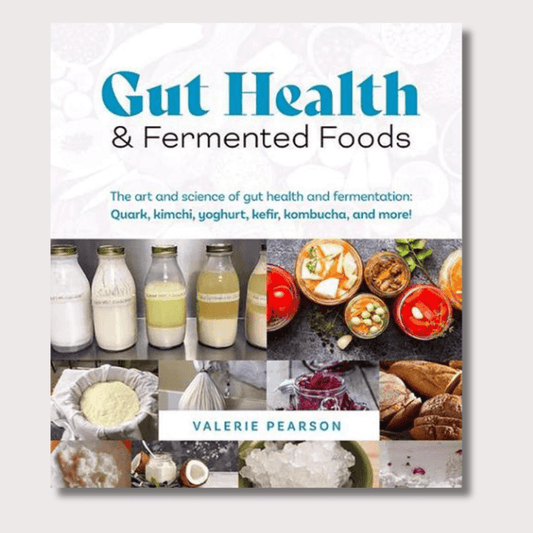 colourful book with different feremnted health foods pictured